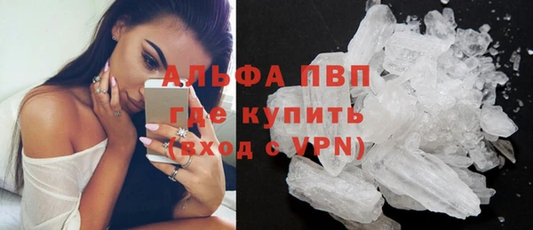 мяу мяу мука Горно-Алтайск