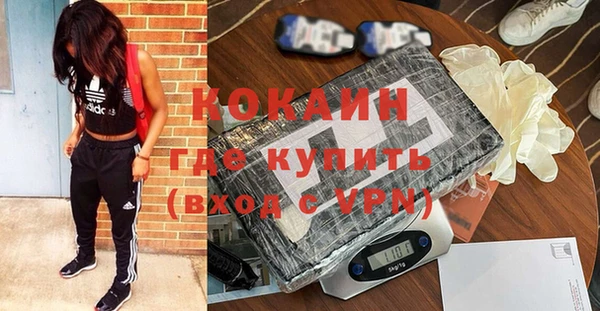apvp Горняк