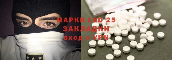 apvp Горняк