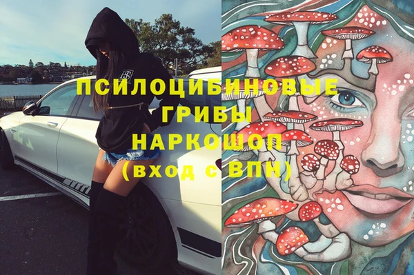 мяу мяу мука Горно-Алтайск