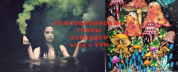 стаф Горнозаводск