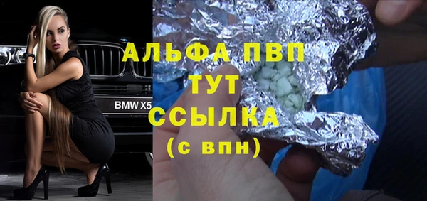 apvp Горняк