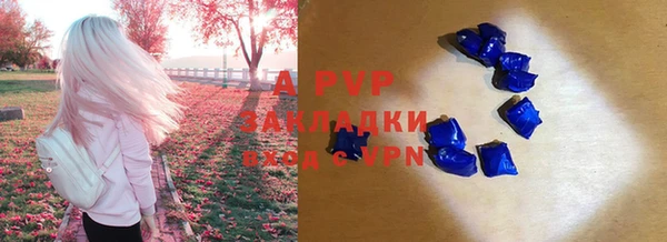 стаф Горнозаводск